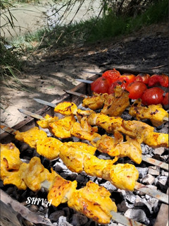 عکسی از دستور جوجه کباب ماستی