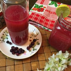 Boozy Falsa Summer Drink A picture of Boozy Falsa Summer Drink.