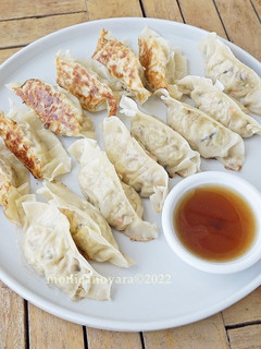 Foto resep Tofu & Vegetable Gyoza