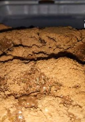 Foto resep PisangCrispy 🍌🍫#CHOCOMILO Ala Mamanya RAINER