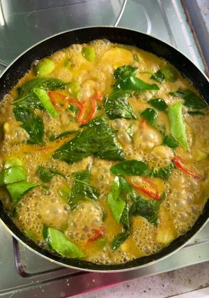 รูปของ แกงเผ็ดไก่ใส่มะเขือ