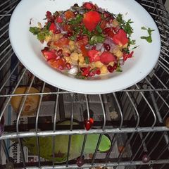 Chickpeas salad A picture of Chickpeas salad.