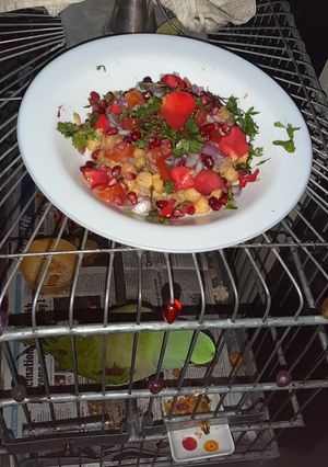 A picture of Chickpeas salad.