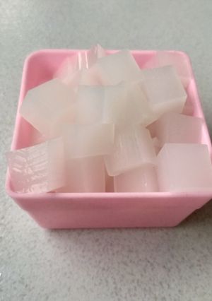 Foto resep Nata de coco KW
