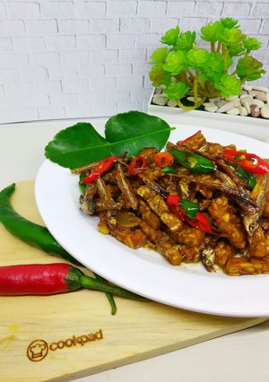 Foto resep Sambal Goreng Tempe & Teri
