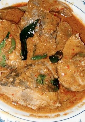 Foto resep Tongkol Tuna putih bumbu aceh