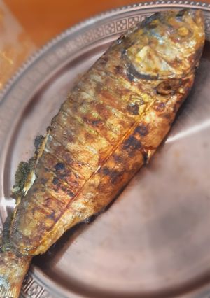 عکسی از دستور ماهی کبابی😋با نکات