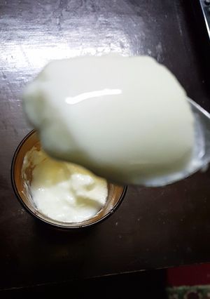 صورة لوصفة زبادي بيتي