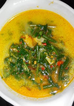 Foto resep Gulai pakis