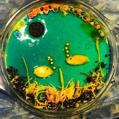 A picture of Aquarium custard.