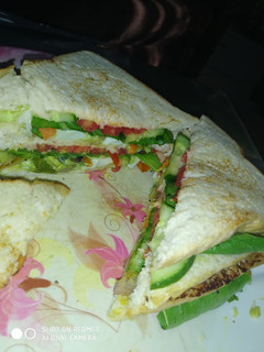 A picture of Pan toasted bread sandwich.