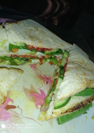 A picture of Pan toasted bread sandwich.