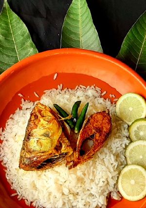 পান্তা ইলিশ। রেসিপির প্রধান ছবি