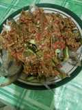 Ikan selais petay nyonya tengku rusmanuddin
