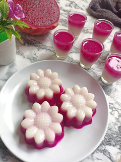 Foto resep Puding Susu Buah Naga
