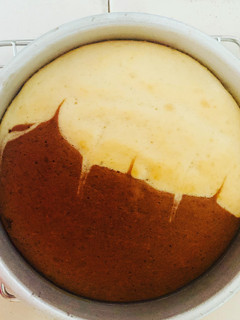 A picture of Two layer cake Vanilla and chocolate.