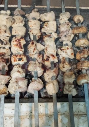 عکسی از دستور جوجه کباب
