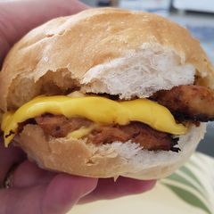 A picture of Spiced chicken melt.