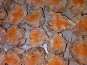 Gambar siomay udang