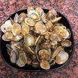 Almejas a la marinera