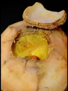 ডাব চিংড়ি (Daab chingri recipe in bengali) রেসিপির প্রধান ছবি