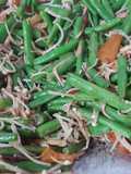 Saute Buncis Enoki