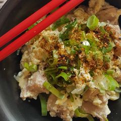 A picture of Oyakodon.