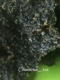 Foto resep Dendeng Daun Singkong