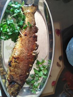 عکسی از دستور ماهی شکم پر