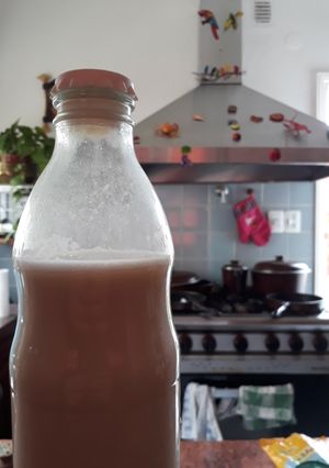 Una foto de Leche vegetal. Leche de avena