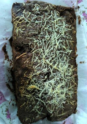 Foto resep Brownis panggang 2 telur empuk