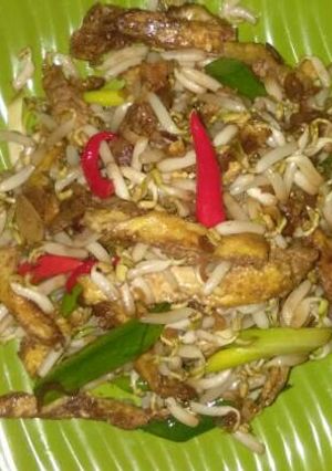 Foto resep Dadar Telor cah toge