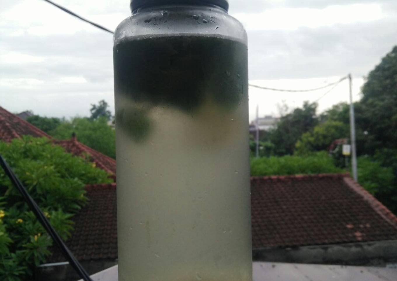 Lemon mint water