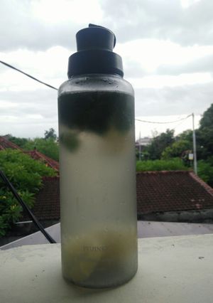 Foto resep Lemon mint water