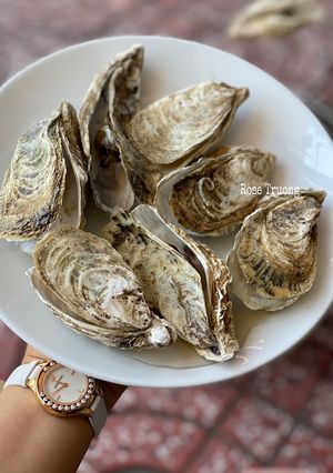 Hình của món Hàu Nướng Mọi.