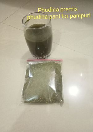 પાણી પુરી નુ ફુદીના પાણી રેસીપી મુખ્ય ફોટો