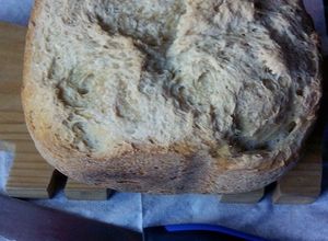 Foto principal de Pan de ajo y orégano (panificadora Moulinex Pain Doré)