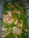 Lengua a la Vinagreta