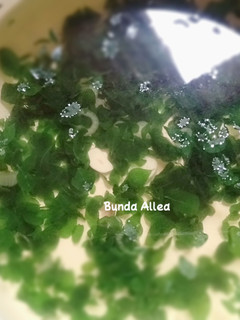 Foto resep 6. Sayur Bening Daun Kelor