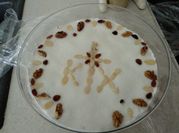A picture of wheat seeds
