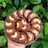 Choco Cashew Cookies