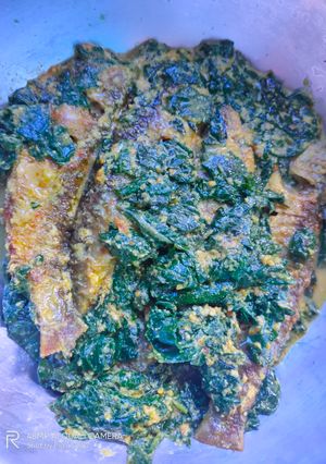 বাটা মাছ আর আলুর শাকের যুগলবন্দী (bata mach are aloor shaker jugolbondi recipe in Bengali) রেসিপির প্রধান ছবি