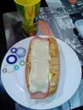 Chory perro
