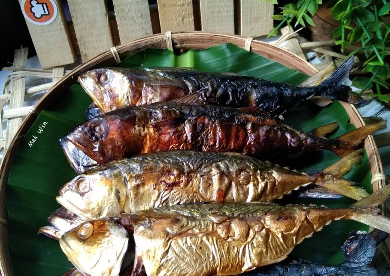 Ikan gembung asap