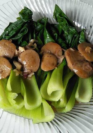 Foto resep Pakcoy Baso Saus Tiram