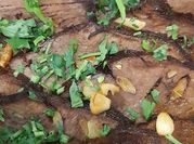Uma foto de picanha no forno