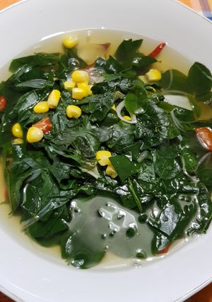 Foto resep Sayur Bening Katuk