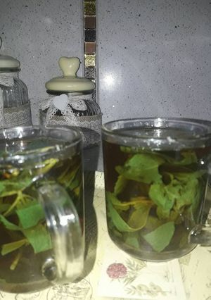 صورة لوصفة اطيب كاسة شاي مع نعناع
