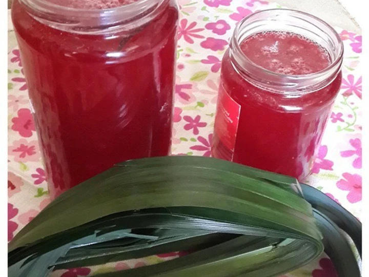 Langkah Gampang Menyiapkan Resep Sirup Pandan Homemade yang Bisa Manjain Lidah Anti Ribet, Uenak Banget