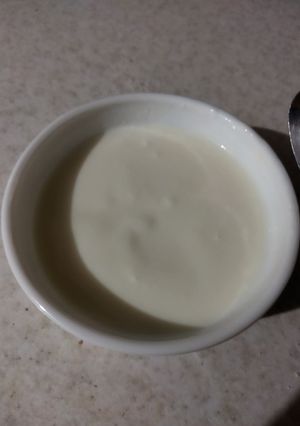 عکسی از دستور درست کردن ماست